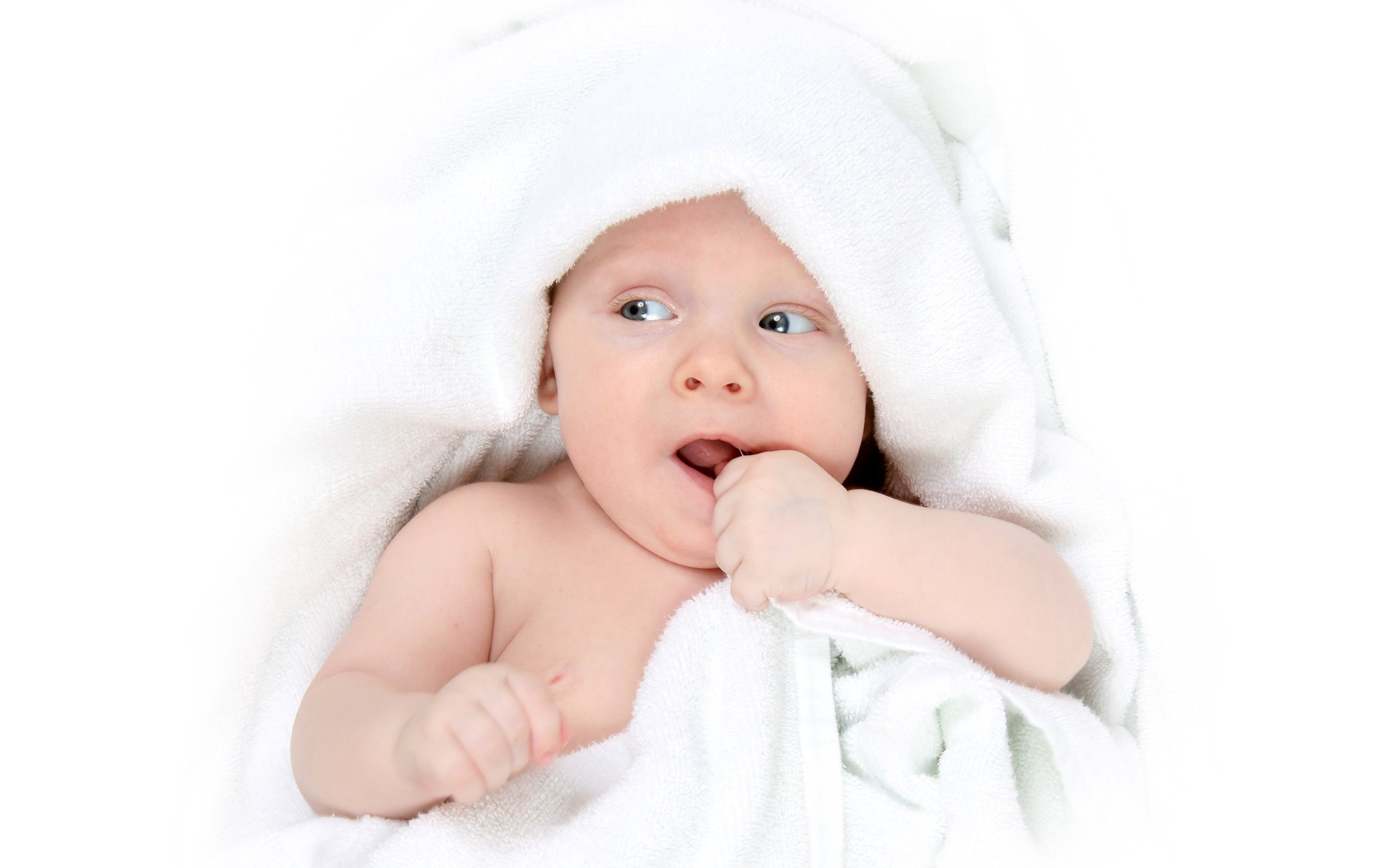 佛山捐卵机构联系方式多囊试管婴儿成功率